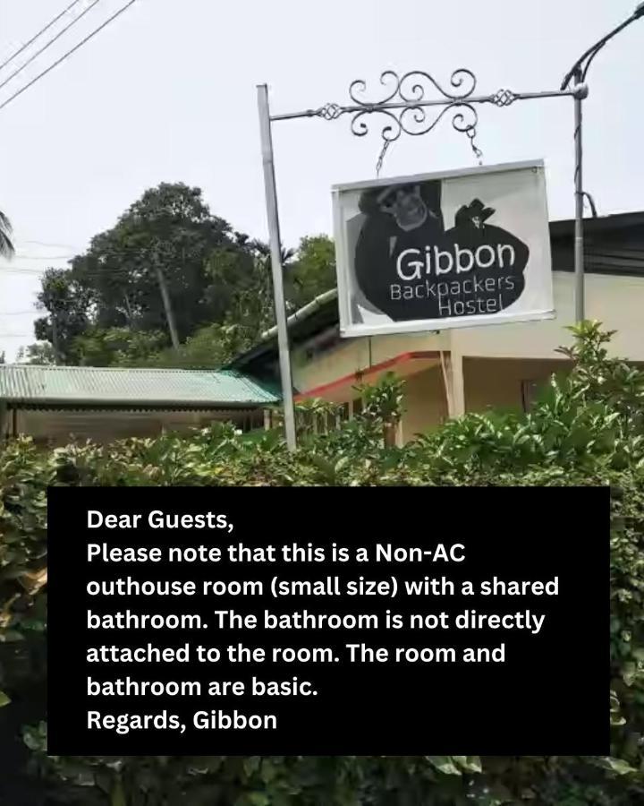 Gibbon Backpackers Hostel Guwahati Extérieur photo